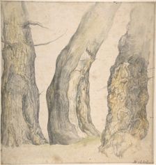 Study of Three Old Gnarled Trees, 1660. Creator: Jan Siberechts