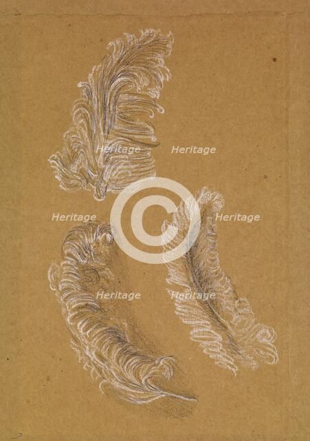 Study of Three Ostrich Feathers, 1865-67. Creator: Sir Edward Coley Burne-Jones.