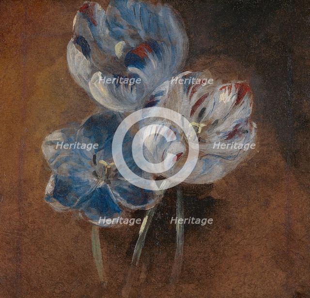 Study of Three Parrot Tulips, ca. 1832. Creator: John Constable.