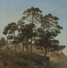 Study of Trees, 1843. Creator: Joachim Frich