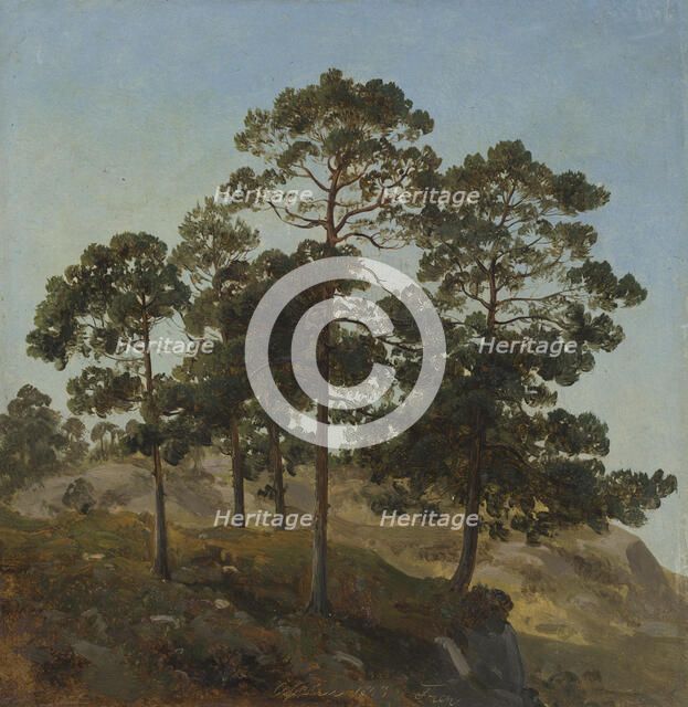 Study of Trees, 1843. Creator: Joachim Frich.