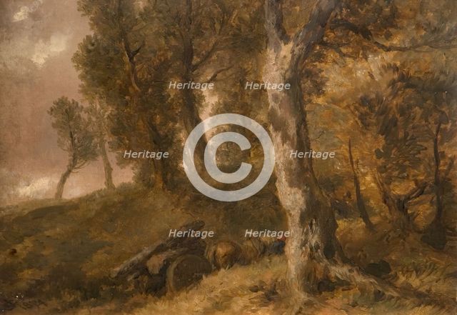 Study of Trees, 1874. Creator: Sir John Gilbert.