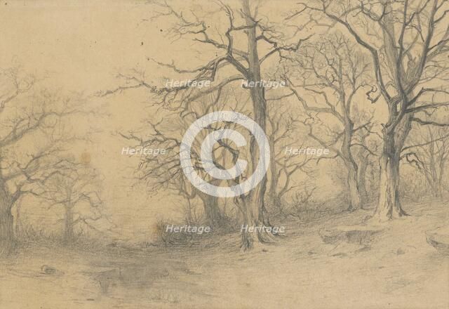 Study of trees, 1897. Creator: Ludovit Cordak.