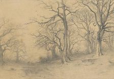 Study of trees, 1897. Creator: Ludovit Cordak