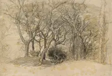 Study of Trees, Clovelly Park, 1834. Artist: Samuel Palmer