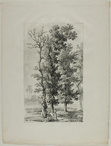 Study of Trees, c. 1817. Creator: Louis Pierre Baltard