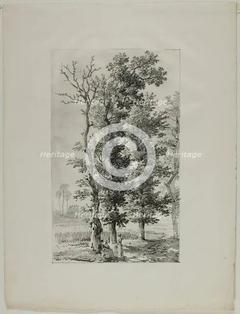 Study of Trees, c. 1817. Creator: Louis Pierre Baltard.