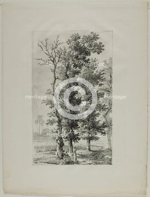 Study of Trees, c. 1817. Creator: Louis Pierre Baltard.