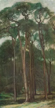 Study of Trees c1900 (1903-1904). Artist: Charles Holroyd