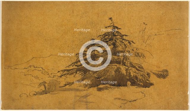 Study of Trees in a Landscape. Creator: John Varley I.
