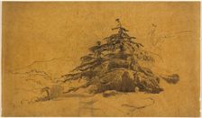Study of Trees in a Landscape. Creator: John Varley I