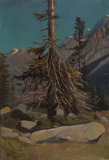 Study of Trees in the Alps, 1850. Creator: Knud Baade