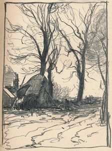 Study of Trees, Sompting, Sussex c19th century. Artist: Frank Mura