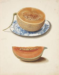 Study of two cantaloupes, 1755. Creator: Fosie, Johanna Marie (1726-1764)