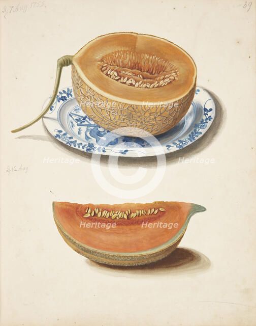 Study of two cantaloupes, 1755. Creator: Fosie, Johanna Marie (1726-1764).