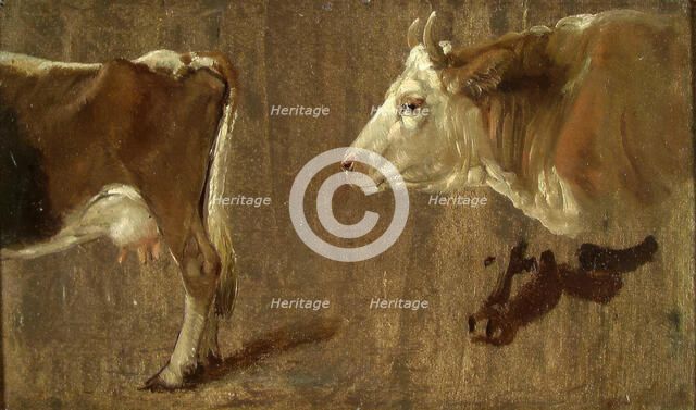 Study of two cows, c1810-1850. Creator: Johan Christian Dahl.