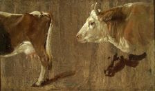 Study of two cows, c1810-1850. Creator: Johan Christian Dahl
