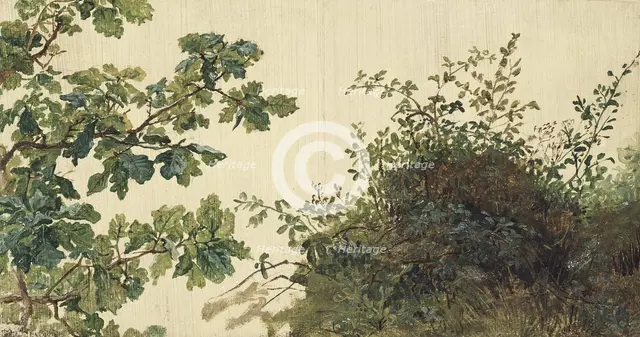 Study of Vegetation, mid-19th century. Creator: Kilian Christoffer Zoll.
