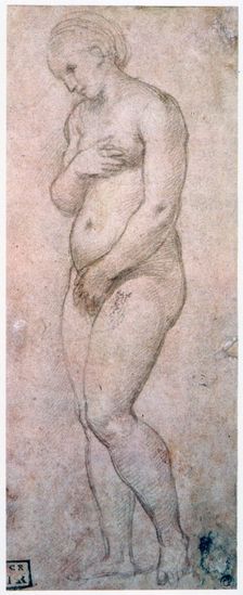 Study of Venus c1500-1520. Artist: Raphael
