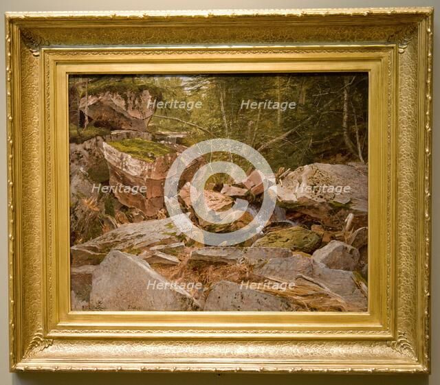 Study, North Conway, New Hampshire, 1851. Creator: David Johnson (American, 1827-1908).