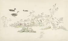 Study sheet with plants and water birds, 1806. Creator: Josephus Augustus Knip
