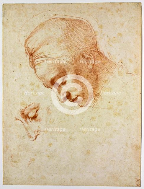 Study to the head of Leda, ca 1530. Artist: Buonarroti, Michelangelo (1475-1564)