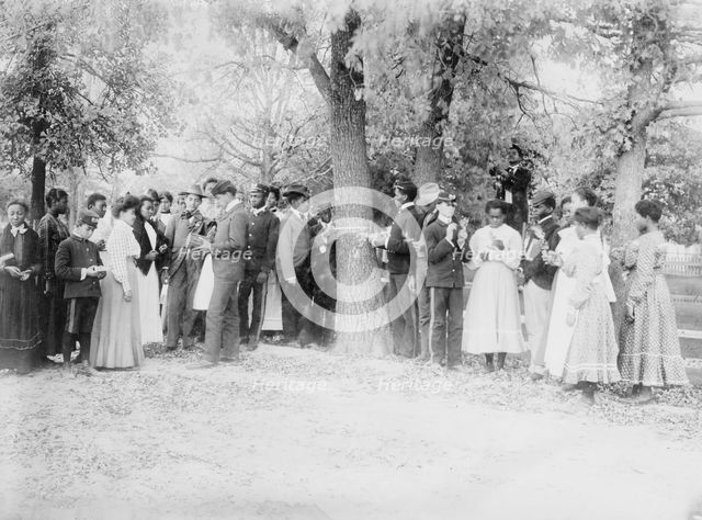 Studying botany, Tuskegee, between c1910 and c1915. Creator: Bain News Service.