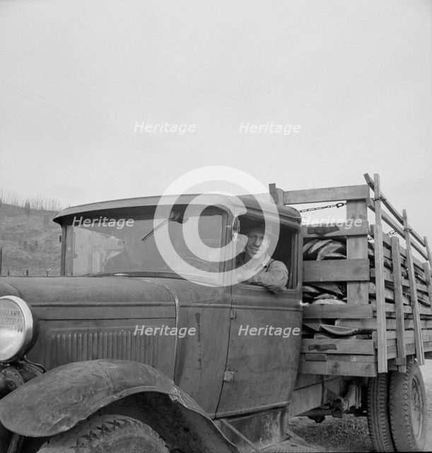 Stump farmer bringing load of slab wood to sell in town, Bonner County, Idaho, 1939. Creator: Dorothea Lange.