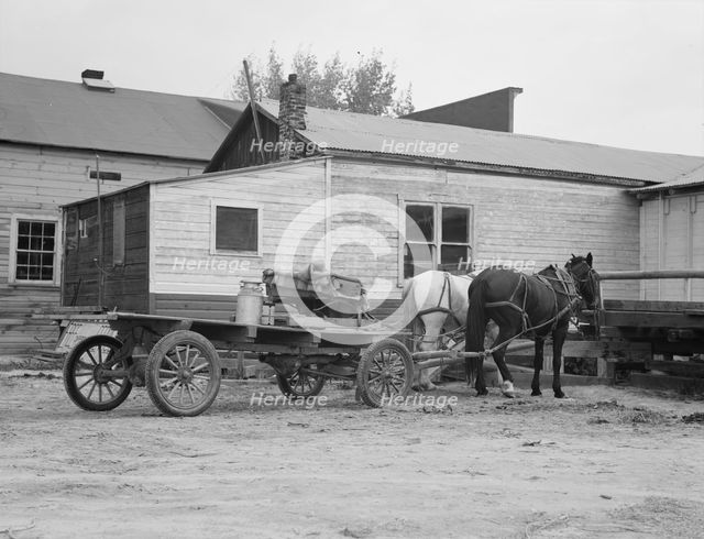 Stump farmer comes to town on a Saturday morning to bring in cream..., Bonners Ferry, Idaho, 1939. Creator: Dorothea Lange.
