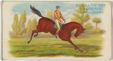 Stuyvesant, from The World's Racers series (N32) for Allen & Ginter Cigarettes, 1888. Creator: Allen & Ginter