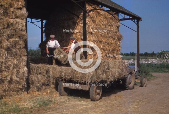 Stacking Bales of Hay in Dutch Barns, c1960s. Artist: CM Dixon.