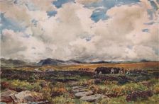 Stacking Peat, Festiniog, North Wales 1881. Artist: Thomas Collier
