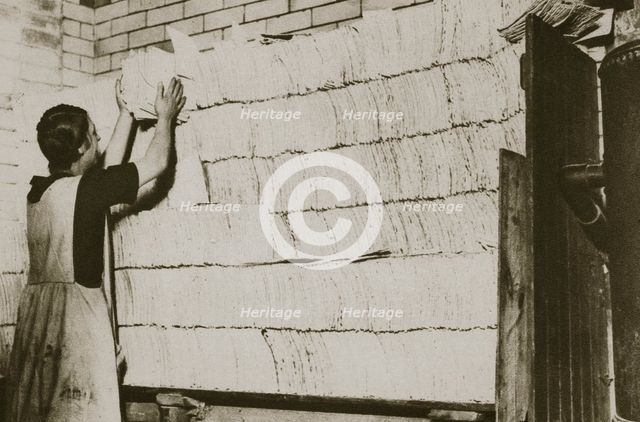 Stacking unleavened bread for the Passover in a Jewish bakery, 20th century.  Creator: Unknown.