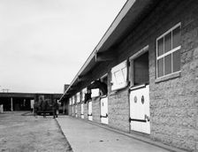 Stables at a residence in Sprotbrough, near Doncaster, South Yorkshire, 1966. Creator: Michael Walters