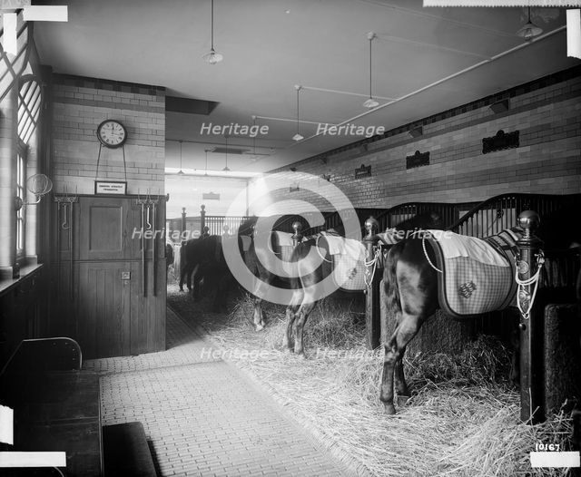 Stables in North Audley Street, Westminster, London, 1890. Artist: Bedford Lemere and Company
