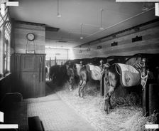 Stables in North Audley Street, Westminster, London, 1890. Artist: Bedford Lemere and Company