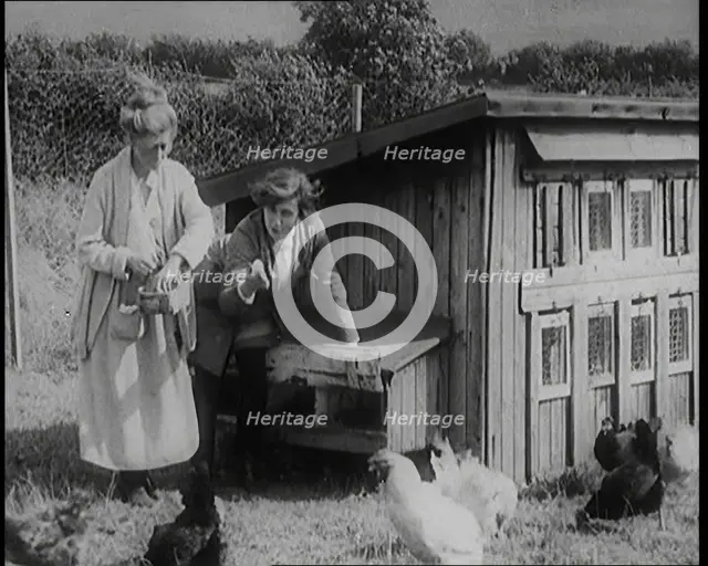 Stage Star Syndey Fairbrother Collecting Hen Eggs on Her Farm, 1920s. Creator: British Pathe Ltd.