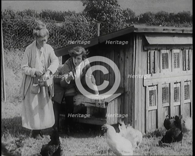 Stage Star Syndey Fairbrother Collecting Hen Eggs on Her Farm, 1920s. Creator: British Pathe Ltd.