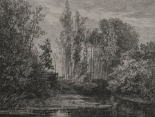 Stags at the water's edge, 1850. Creator: Charles François Daubigny (French, 1817-1878)