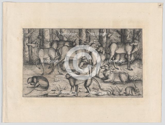 Stags in the Forest, 1545. Creator: Augustin Hirschvogel.