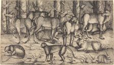 Stags in the Forest, 1545. Creator: Augustin Hirschvogel
