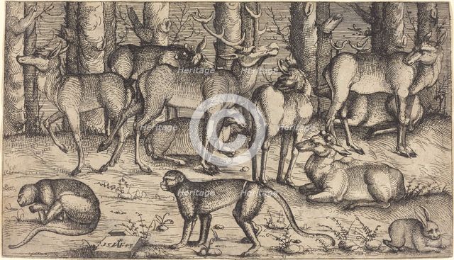 Stags in the Forest, 1545. Creator: Augustin Hirschvogel.