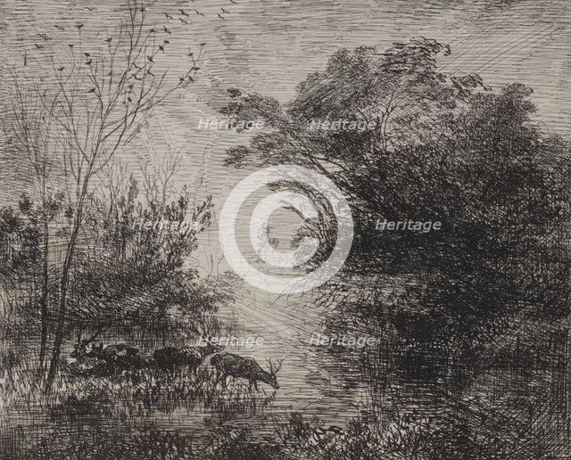 Stags, original impression 1862, printed in 1921. Creator: Charles François Daubigny (French, 1817-1878).