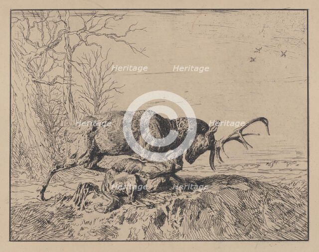 Stag Fighting a Wolf, after Antoine Louis Barye, 1846. Creator: Charles Emile Jacque.