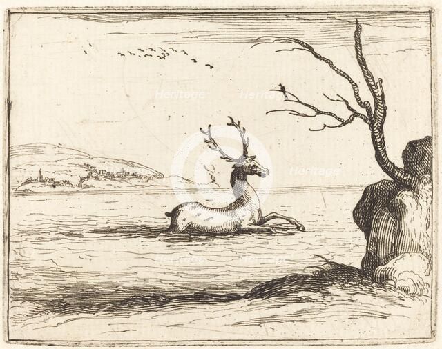 Stag in the Water, 1628. Creator: Jacques Callot.
