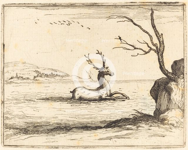Stag in the Water, 1628. Creator: Jacques Callot.