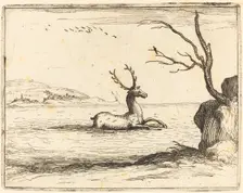 Stag in the Water, 1628. Creator: Jacques Callot