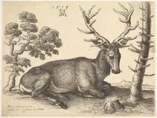 Stag lying to right, 1649. Creator: Wenceslaus Hollar
