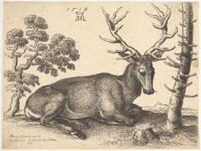 Stag lying to right, 1649. Creator: Wenceslaus Hollar