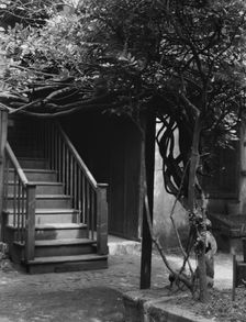 Stairway in a courtyard, New Orleans, between 1920 and 1926. Creator: Arnold Genthe